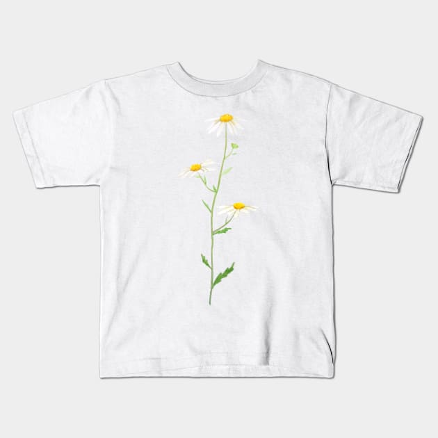 white daisy watercolor Kids T-Shirt by colorandcolor